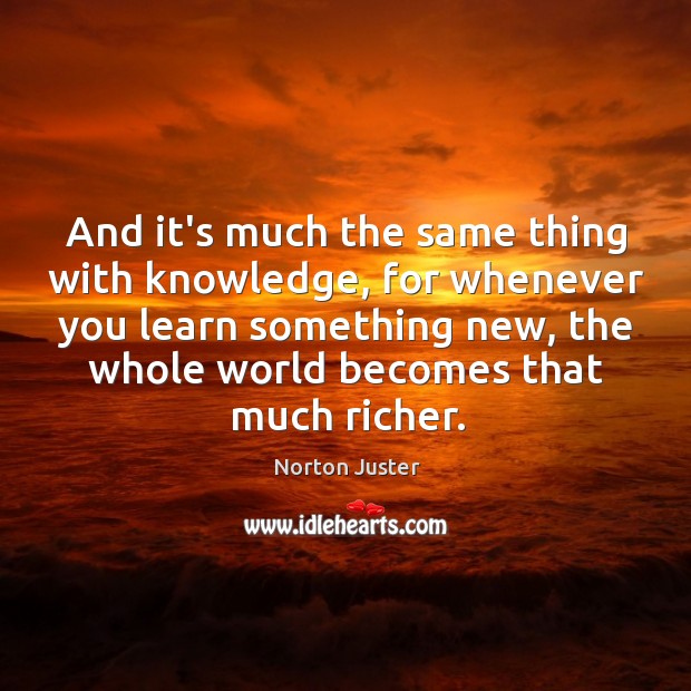 And it’s much the same thing with knowledge, for whenever you learn Norton Juster Picture Quote