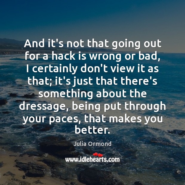 And it’s not that going out for a hack is wrong or Julia Ormond Picture Quote