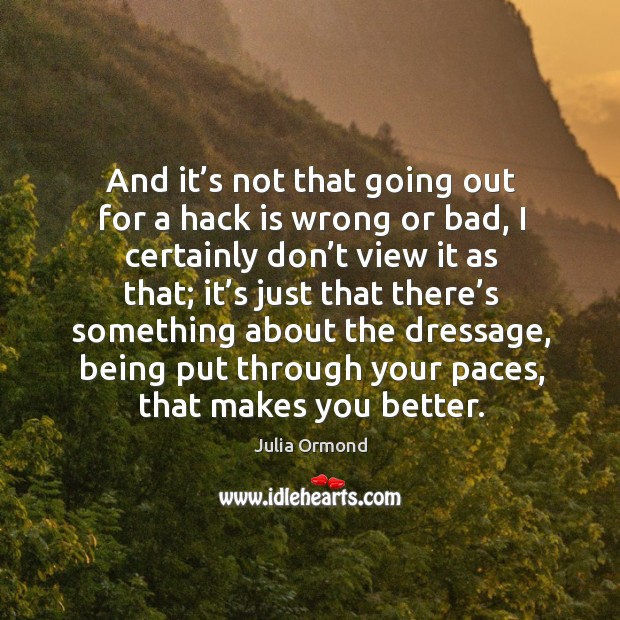 And it’s not that going out for a hack is wrong or bad, I certainly don’t view it as that Julia Ormond Picture Quote
