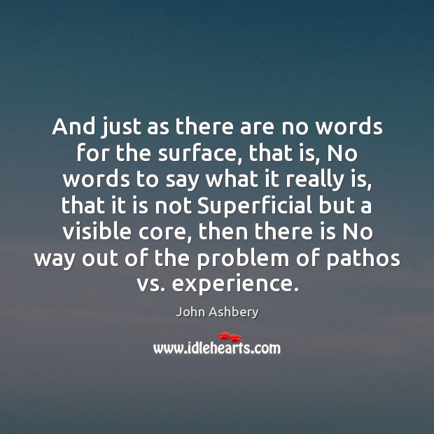 And just as there are no words for the surface, that is, John Ashbery Picture Quote