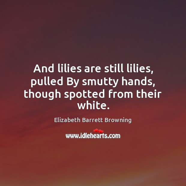 And lilies are still lilies, pulled By smutty hands, though spotted from their white. Elizabeth Barrett Browning Picture Quote
