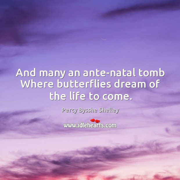 And many an ante-natal tomb Where butterflies dream of the life to come. Percy Bysshe Shelley Picture Quote