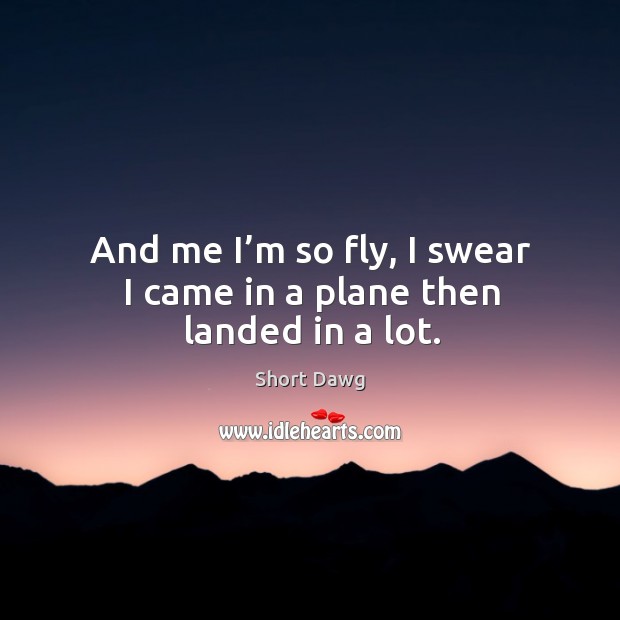 And me I’m so fly, I swear I came in a plane then landed in a lot. Image