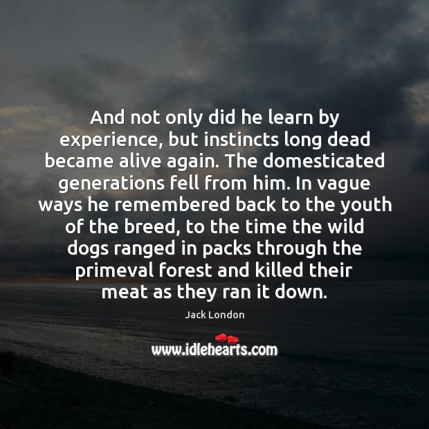 And not only did he learn by experience, but instincts long dead Jack London Picture Quote