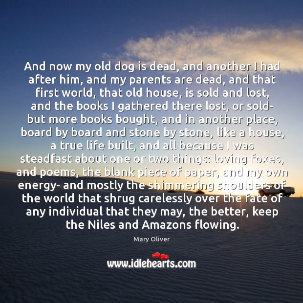 And now my old dog is dead, and another I had after Mary Oliver Picture Quote
