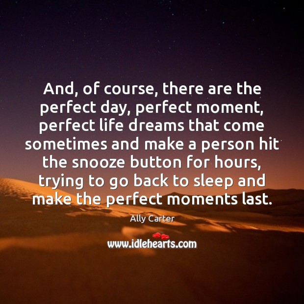 And, of course, there are the perfect day, perfect moment, perfect life Ally Carter Picture Quote