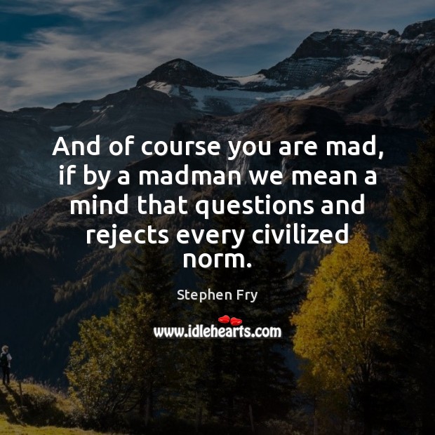 And of course you are mad, if by a madman we mean Stephen Fry Picture Quote