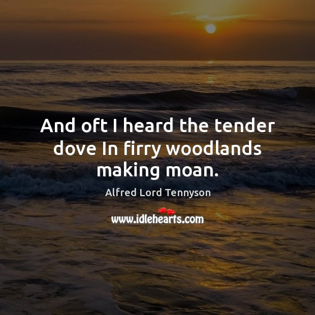 And oft I heard the tender dove In firry woodlands making moan. Alfred Lord Tennyson Picture Quote