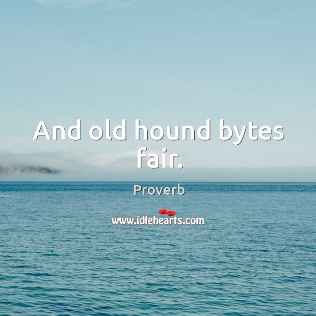And old hound bytes fair. Image