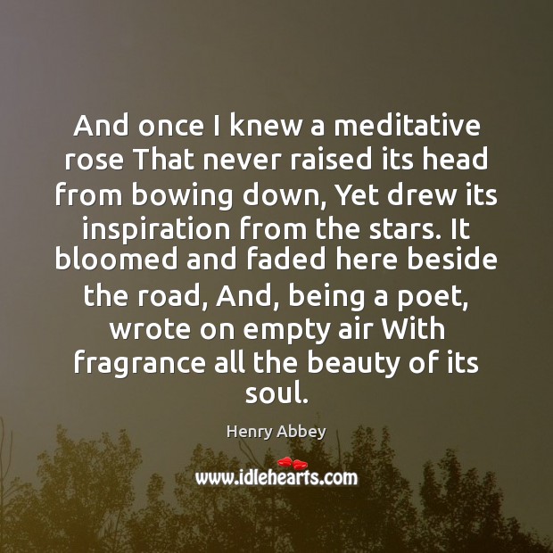 And once I knew a meditative rose That never raised its head Image