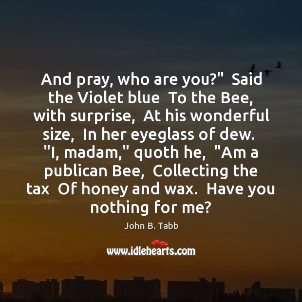 And pray, who are you?”  Said the Violet blue  To the Bee, John B. Tabb Picture Quote