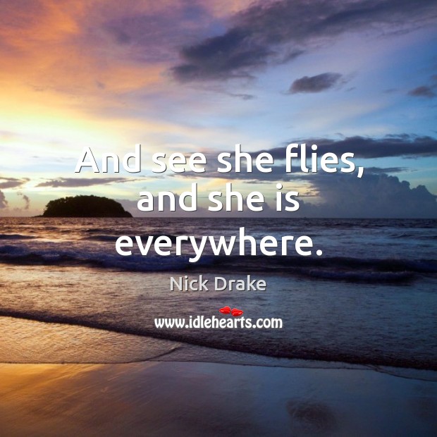 And see she flies, and she is everywhere. Nick Drake Picture Quote