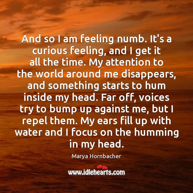 And so I am feeling numb. It’s a curious feeling, and I Marya Hornbacher Picture Quote