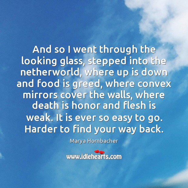 And so I went through the looking glass, stepped into the netherworld, Marya Hornbacher Picture Quote