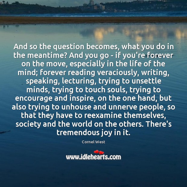 And so the question becomes, what you do in the meantime? And Cornel West Picture Quote