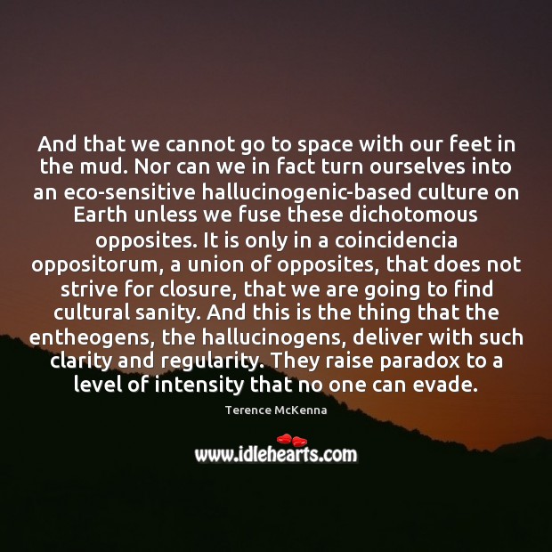 And that we cannot go to space with our feet in the Terence McKenna Picture Quote