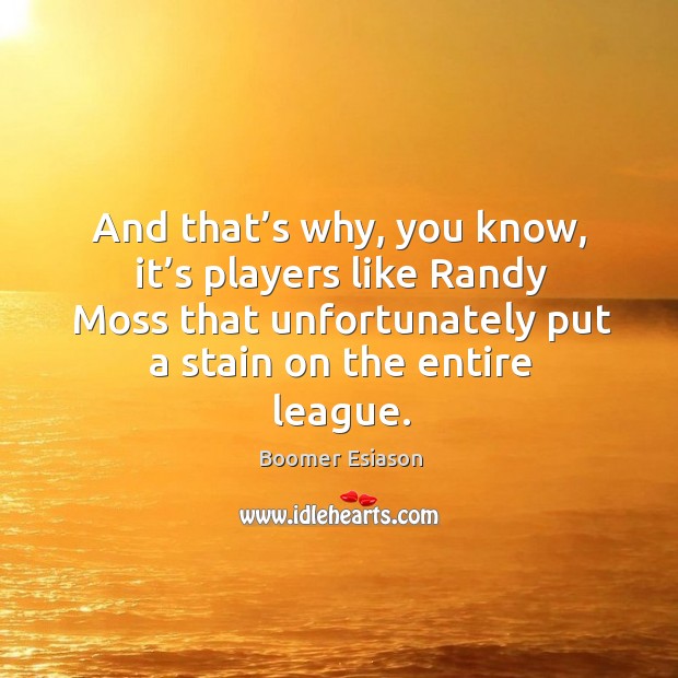 And that’s why, you know, it’s players like randy moss that unfortunately put a stain on the entire league. Boomer Esiason Picture Quote