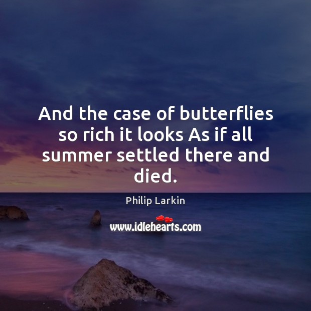 And the case of butterflies so rich it looks As if all summer settled there and died. Philip Larkin Picture Quote