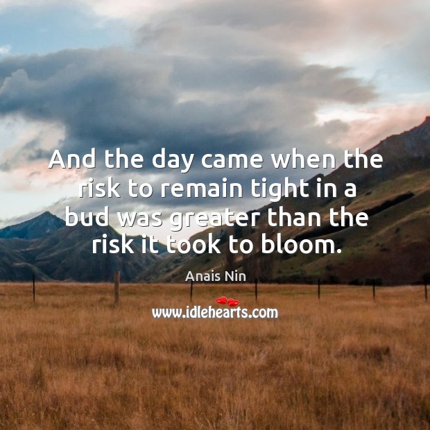 And the day came when the risk to remain tight in a bud was greater than the risk it took to bloom. Anais Nin Picture Quote
