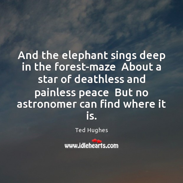 And the elephant sings deep in the forest-maze  About a star of Ted Hughes Picture Quote