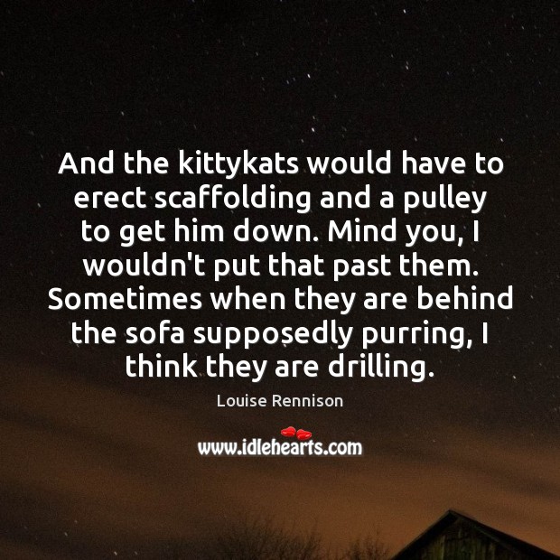 And the kittykats would have to erect scaffolding and a pulley to Image
