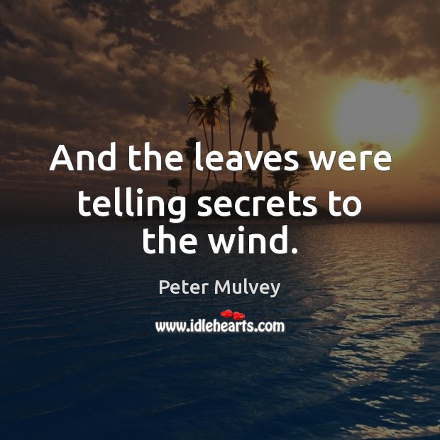And the leaves were telling secrets to the wind. Peter Mulvey Picture Quote