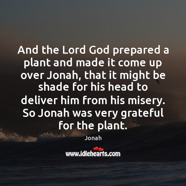 And the Lord God prepared a plant and made it come up Jonah Picture Quote