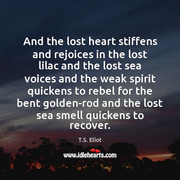 And the lost heart stiffens and rejoices in the lost lilac and T.S. Eliot Picture Quote