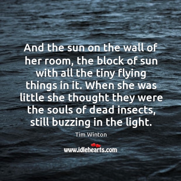And the sun on the wall of her room, the block of Tim Winton Picture Quote