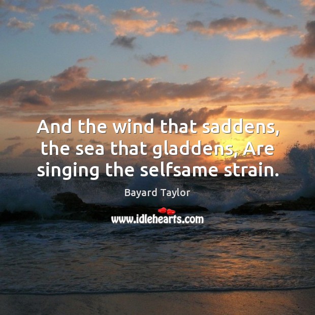 And the wind that saddens, the sea that gladdens, Are singing the selfsame strain. Bayard Taylor Picture Quote