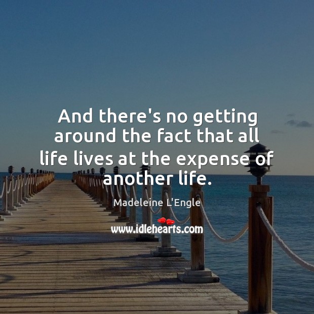 And there’s no getting around the fact that all life lives at the expense of another life. Madeleine L’Engle Picture Quote