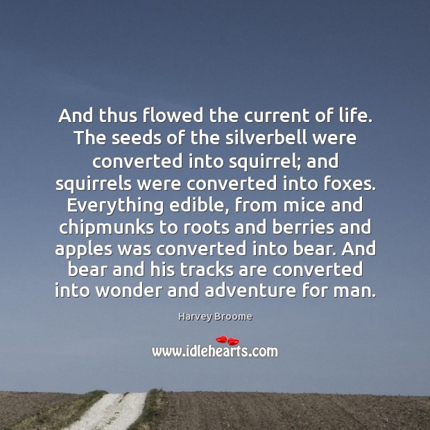 And thus flowed the current of life. The seeds of the silverbell Harvey Broome Picture Quote