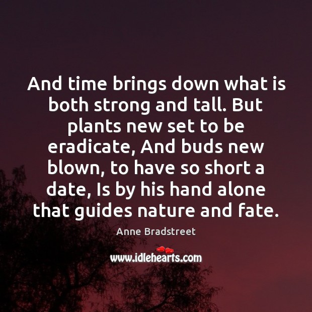 And time brings down what is both strong and tall. But plants Anne Bradstreet Picture Quote