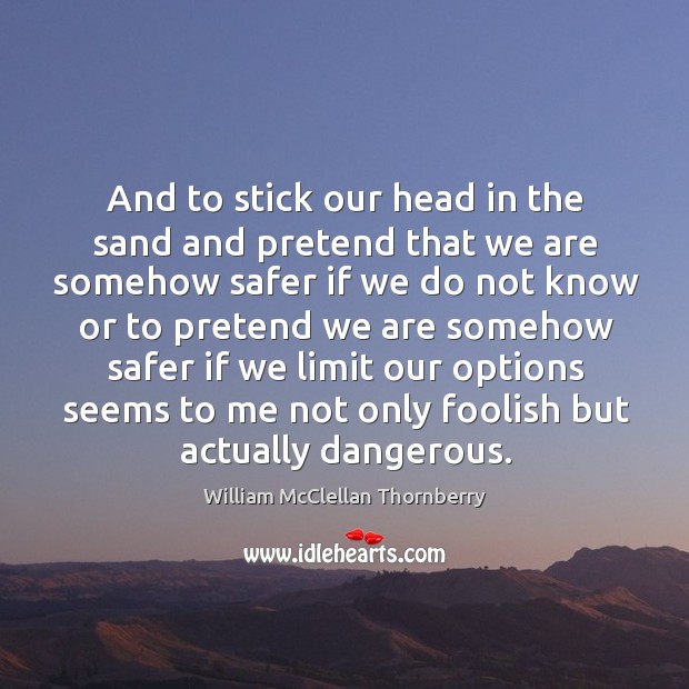 And to stick our head in the sand and pretend that we are somehow safer if we do William McClellan Thornberry Picture Quote