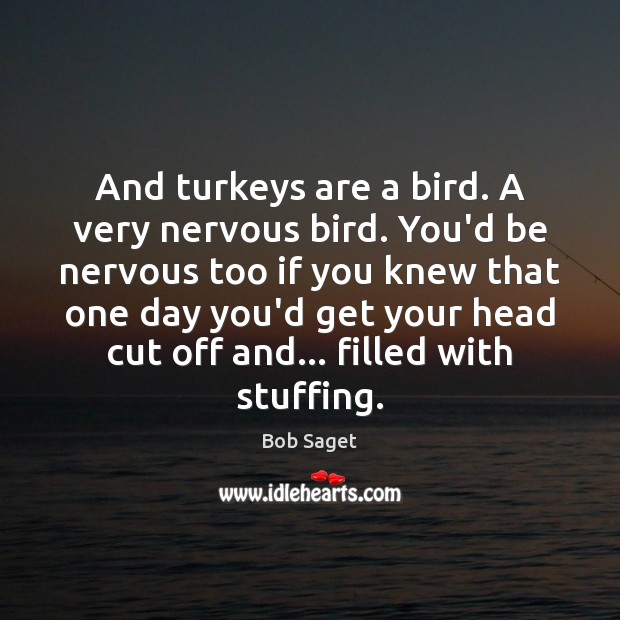 And turkeys are a bird. A very nervous bird. You’d be nervous Image