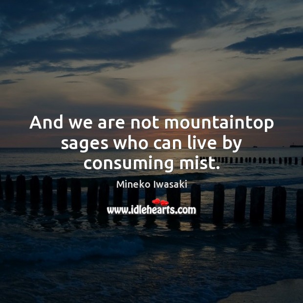 And we are not mountaintop sages who can live by consuming mist. Image