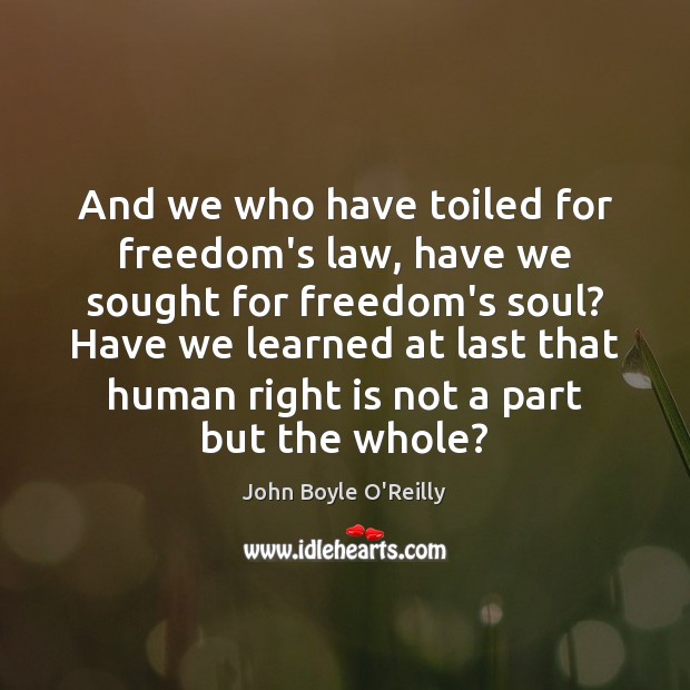 And we who have toiled for freedom’s law, have we sought for John Boyle O’Reilly Picture Quote