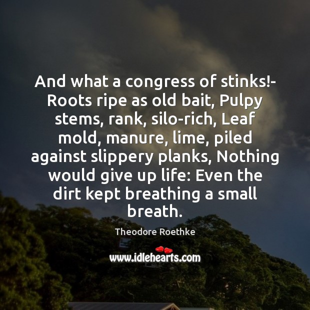 And what a congress of stinks!- Roots ripe as old bait, Image