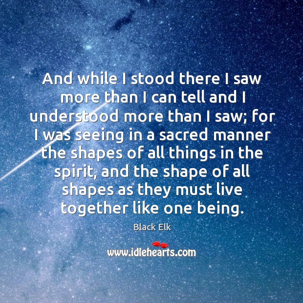 And while I stood there I saw more than I can tell and I understood more than I saw; Black Elk Picture Quote