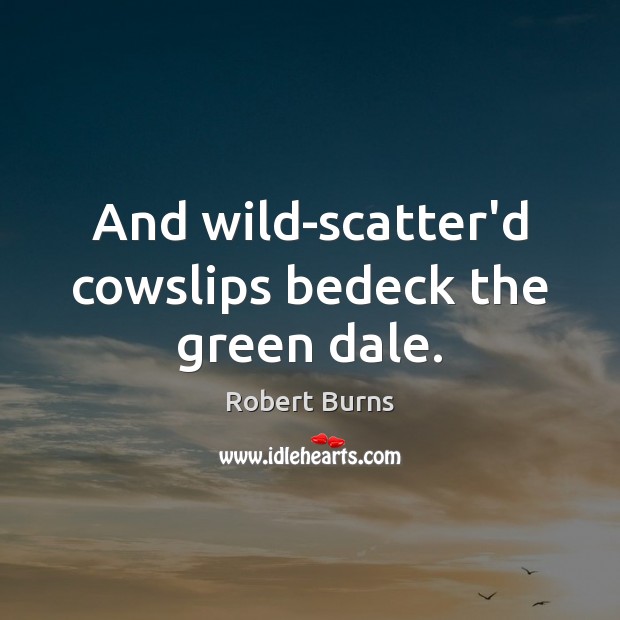 And wild-scatter’d cowslips bedeck the green dale. Robert Burns Picture Quote