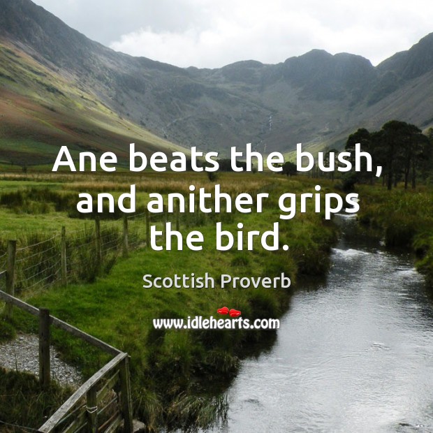 Ane beats the bush, and anither grips the bird. Scottish Proverbs Image
