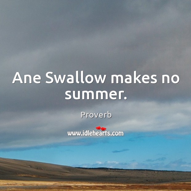 Ane swallow makes no summer. Image