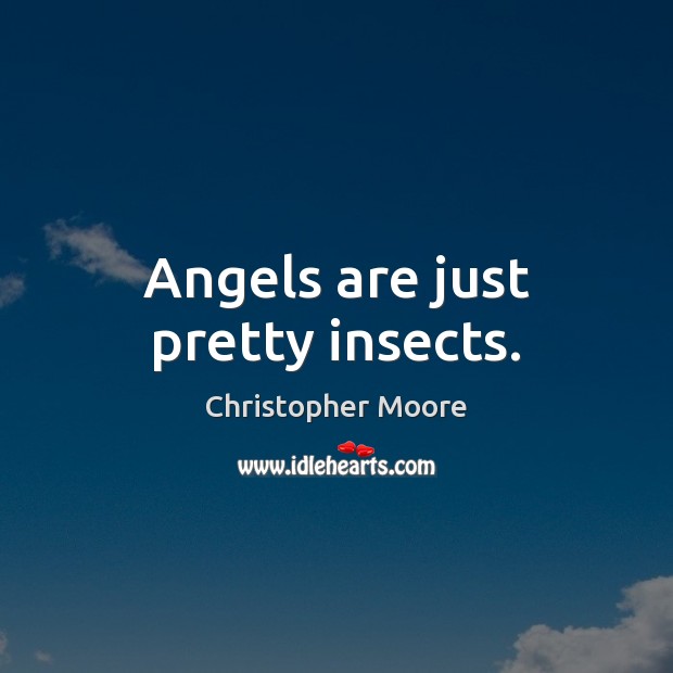 Angels are just pretty insects. Christopher Moore Picture Quote