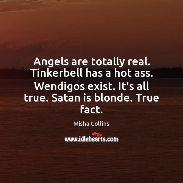 Angels are totally real. Tinkerbell has a hot ass. Wendigos exist. It’s Misha Collins Picture Quote