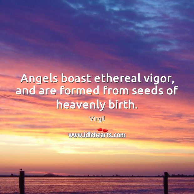 Angels boast ethereal vigor, and are formed from seeds of heavenly birth. Virgil Picture Quote