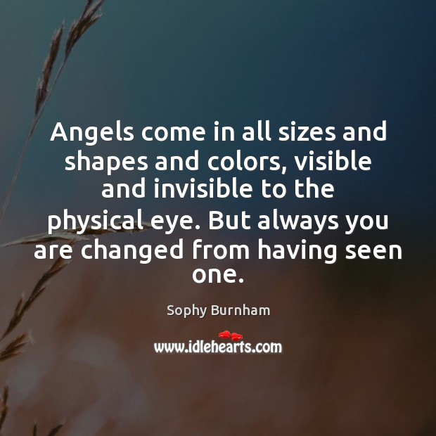 Angels come in all sizes and shapes and colors, visible and invisible Sophy Burnham Picture Quote