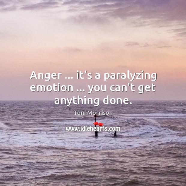 Anger … it’s a paralyzing emotion … you can’t get anything done. Emotion Quotes Image