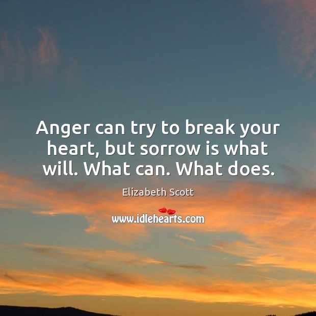 Anger can try to break your heart, but sorrow is what will. What can. What does. Elizabeth Scott Picture Quote