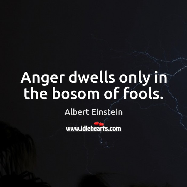 Anger dwells only in the bosom of fools. Image