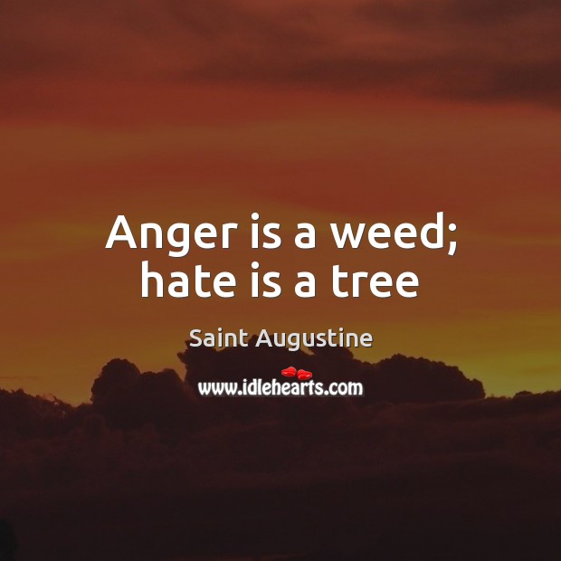 Anger is a weed; hate is a tree Saint Augustine Picture Quote